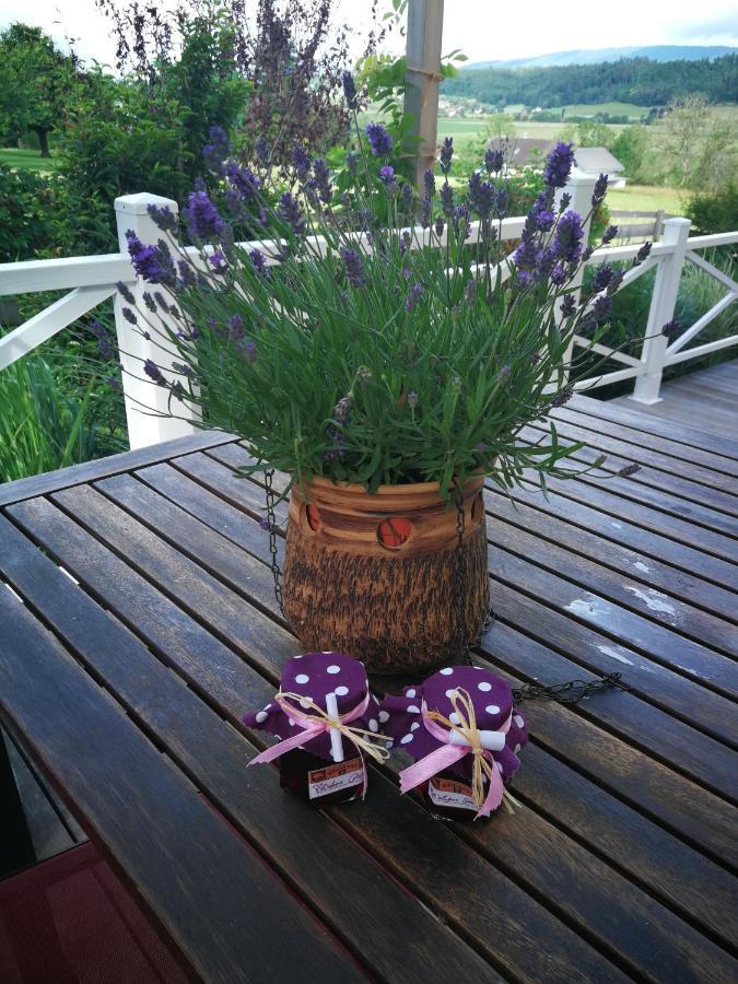 B&B Whitianga Vinelz Экстерьер фото